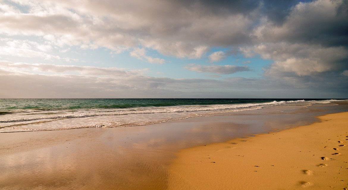 Beach dreaming