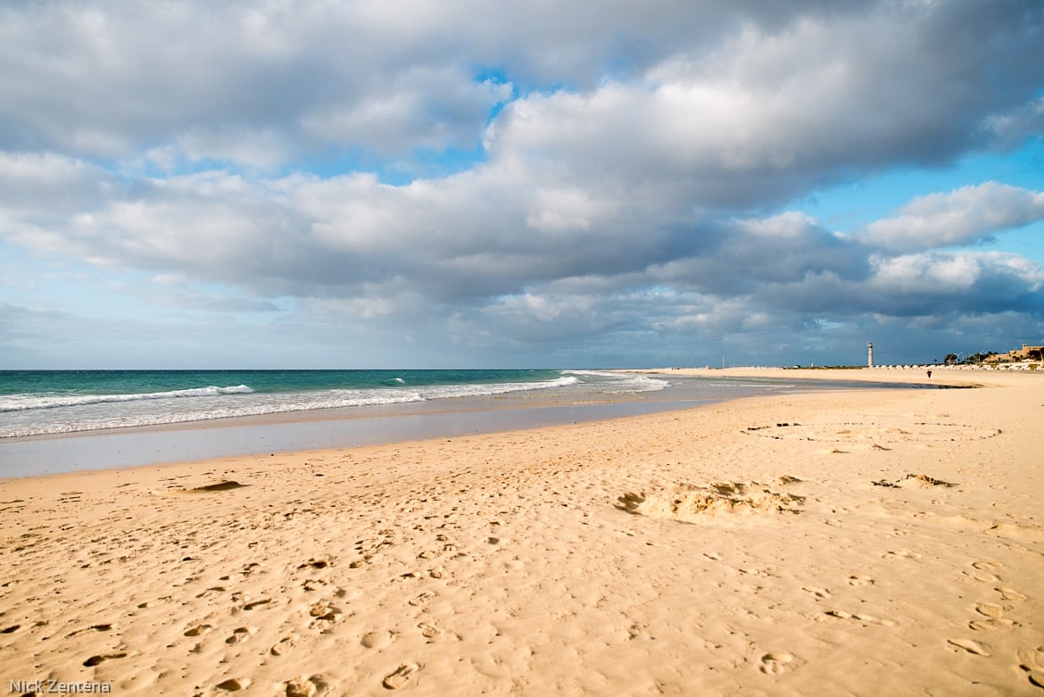 Sandy Playa Matorral