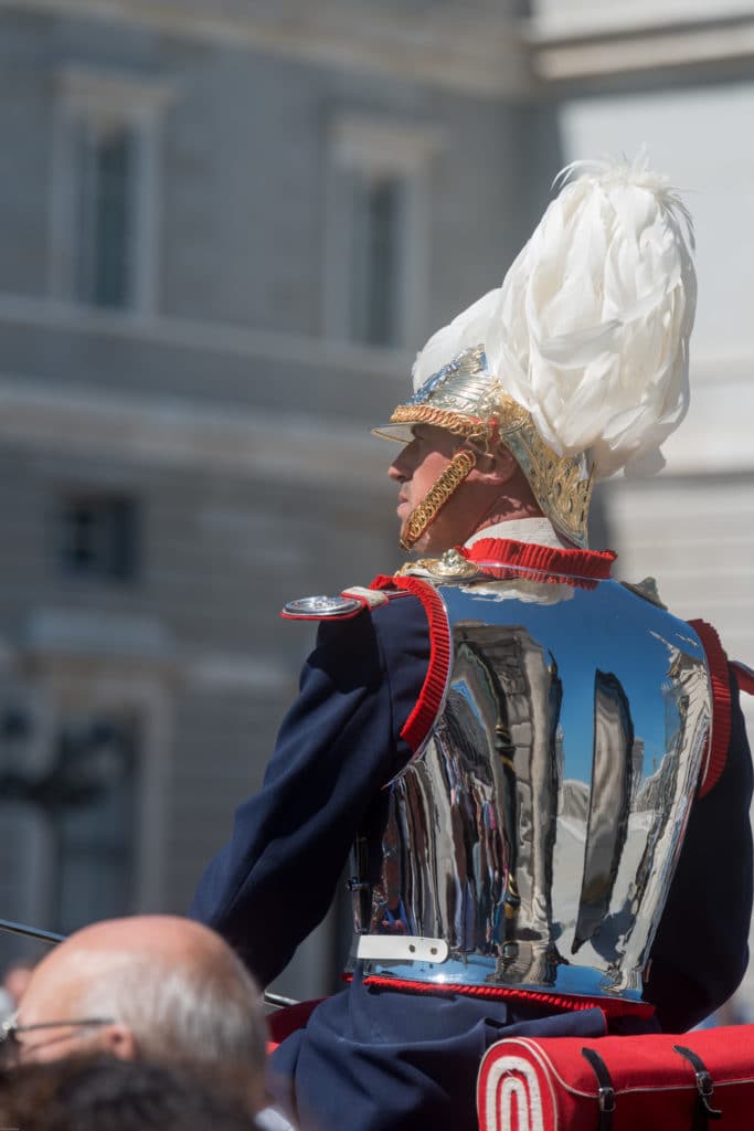 Royal Spanish guard