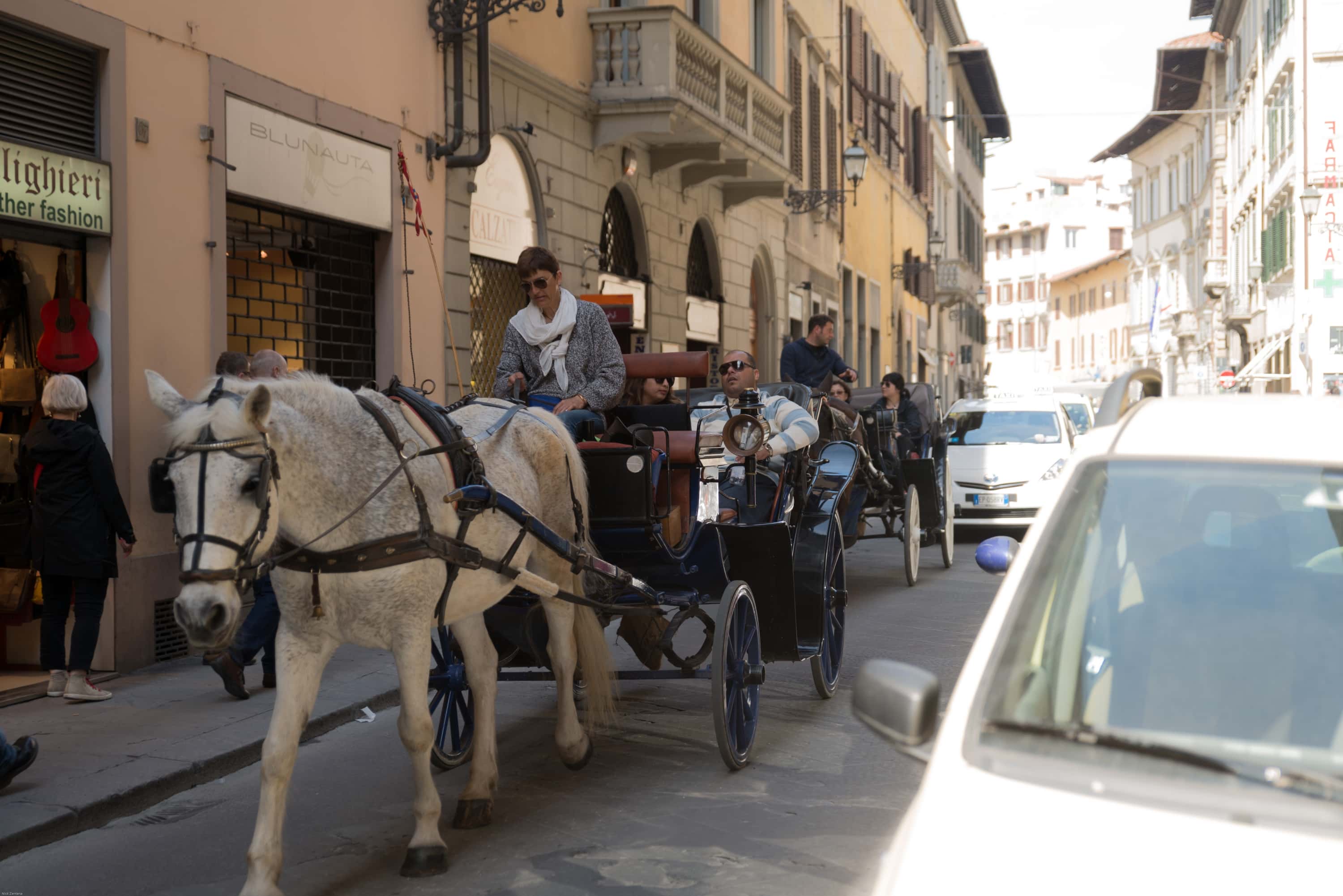 Horse and Carriage ride around Florence Italy