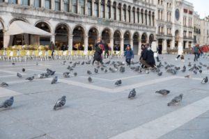 Piazza San Marco Venice Italy