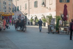 Horse drawn carriage pisa italy