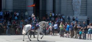 Mounted royal guard